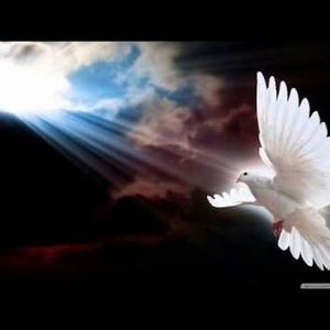 Meet your Posher, Hazel